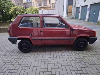 Fiat Panda 900 i.e. cat Young (3)
