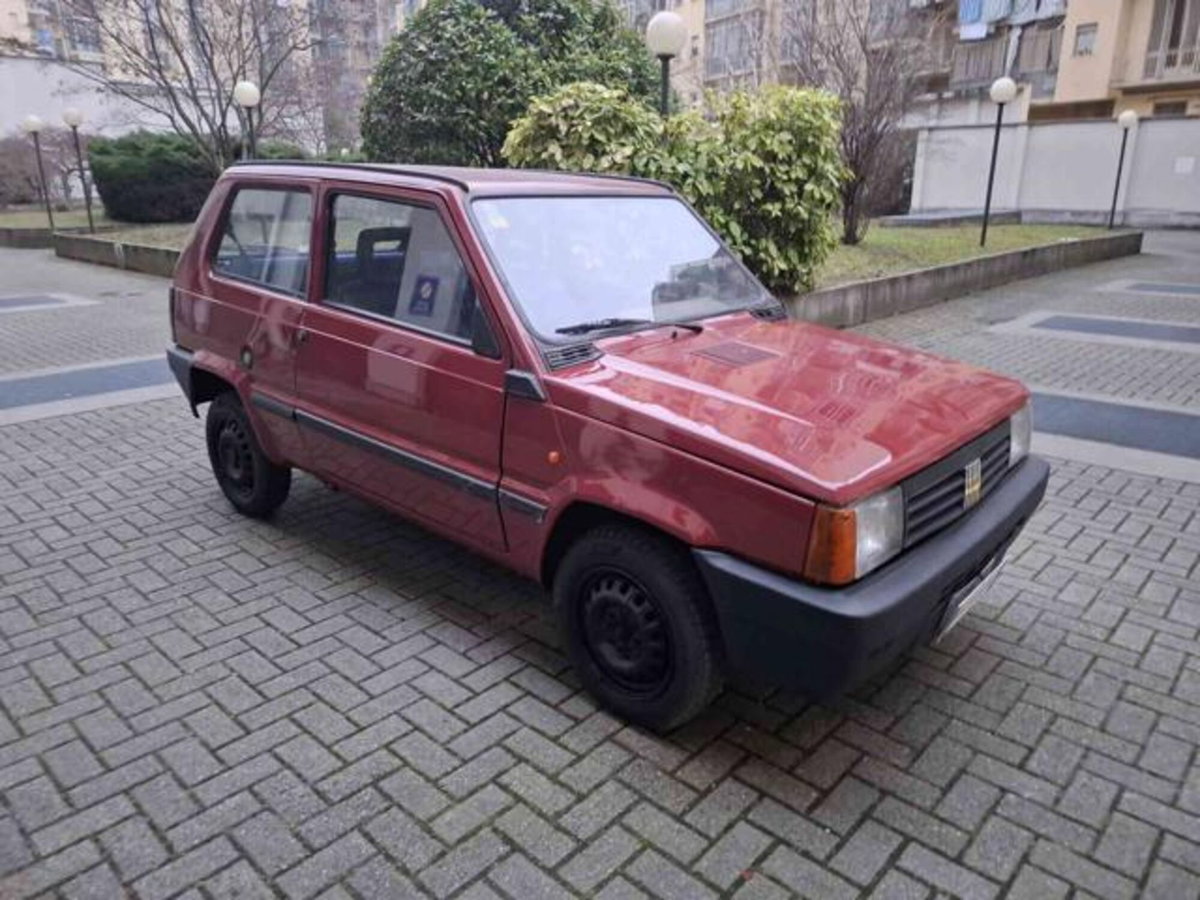 Fiat Panda 900 i.e. cat Young (3)