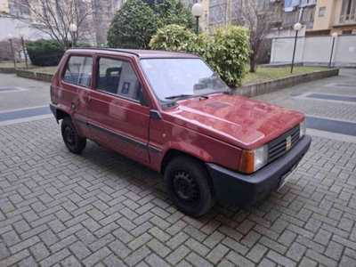 Fiat Panda 900 i.e. cat Young (4)