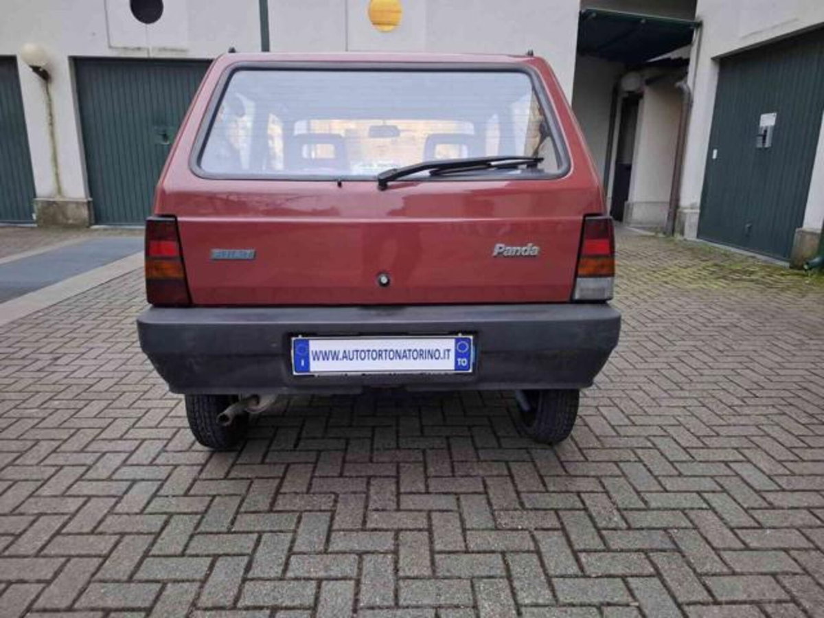 Fiat Panda 900 i.e. cat Young (4)