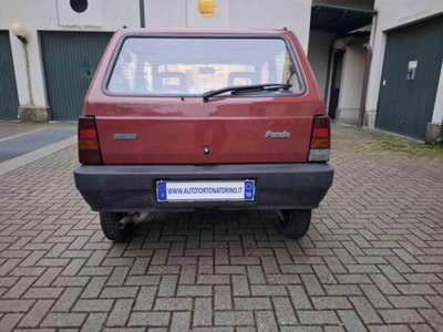 Fiat Panda 900 i.e. cat Young (5)