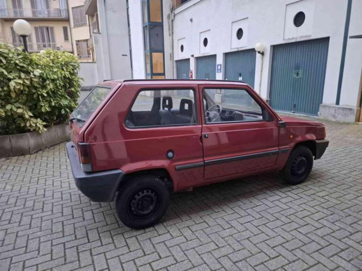 Fiat Panda 900 i.e. cat Young (5)