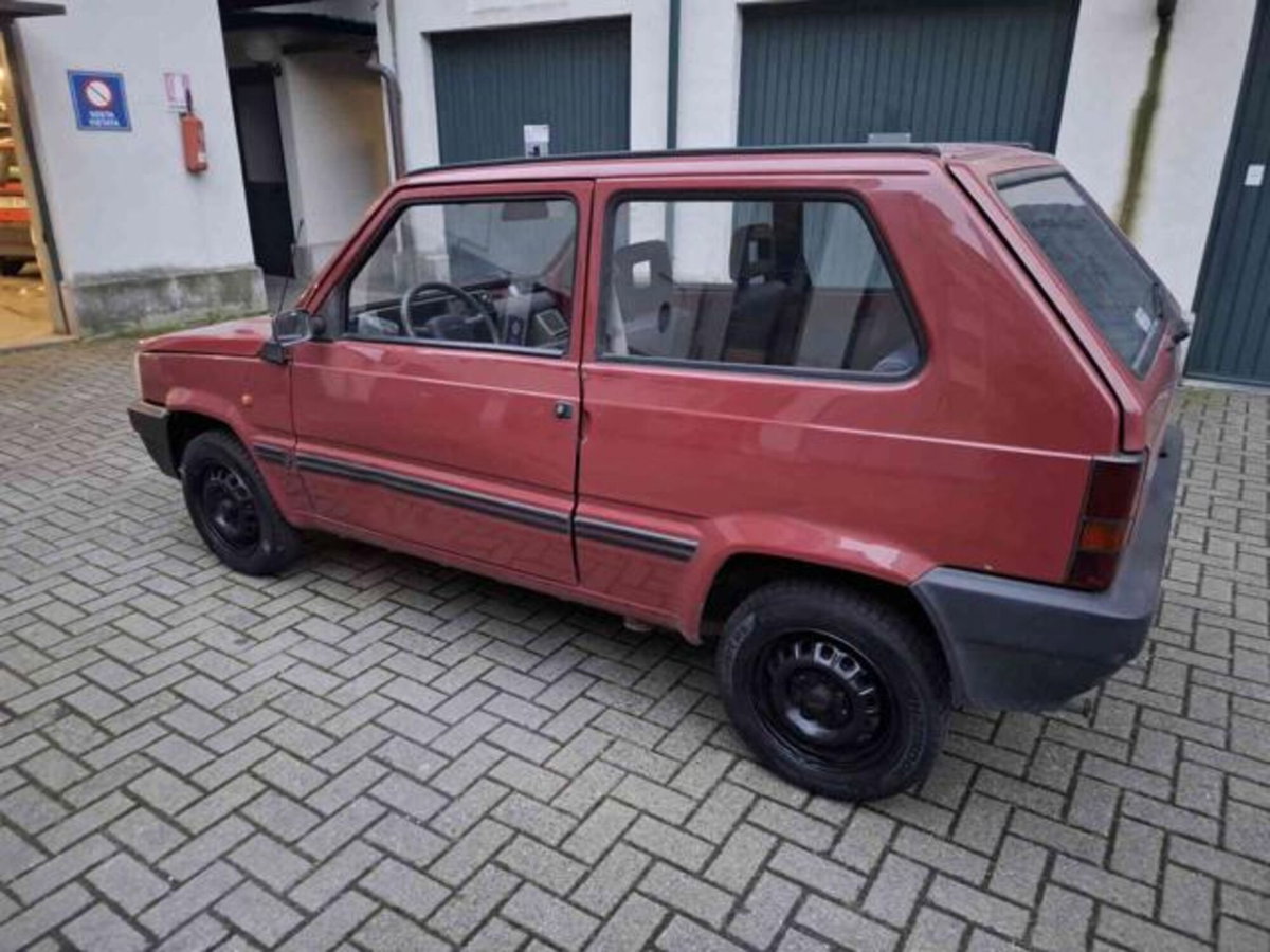 Fiat Panda 900 i.e. cat Young (6)