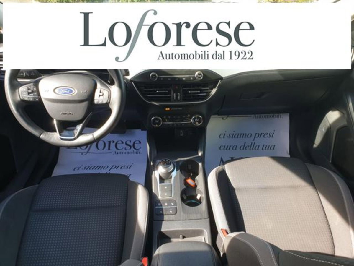 Ford Focus Station Wagon 1.5 EcoBlue 120 CV automatico SW Business Co-Pilot (10)