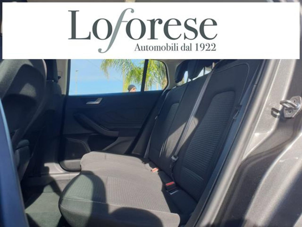 Ford Focus Station Wagon 1.5 EcoBlue 120 CV automatico SW Business Co-Pilot (11)