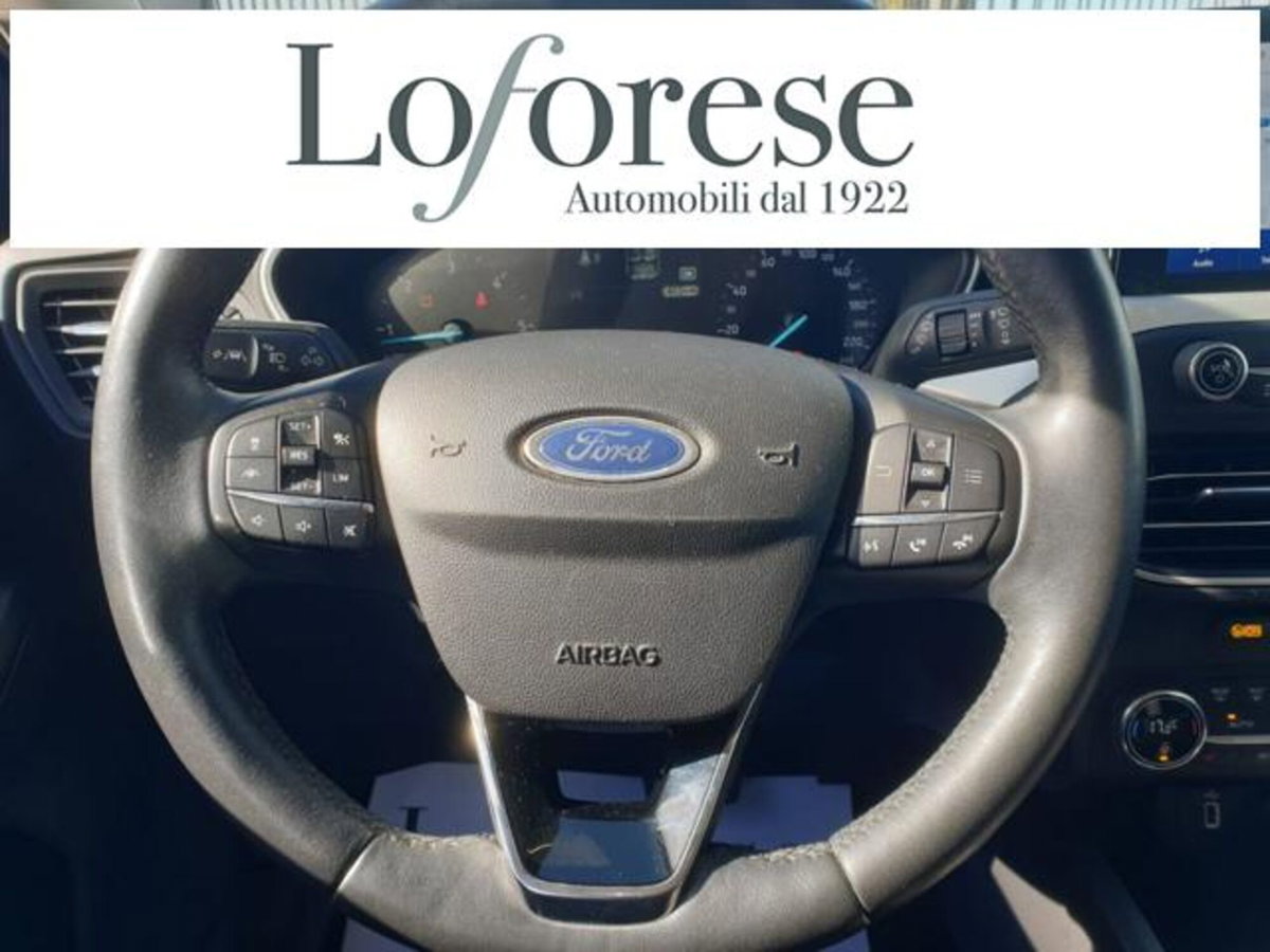 Ford Focus Station Wagon 1.5 EcoBlue 120 CV automatico SW Business Co-Pilot (13)