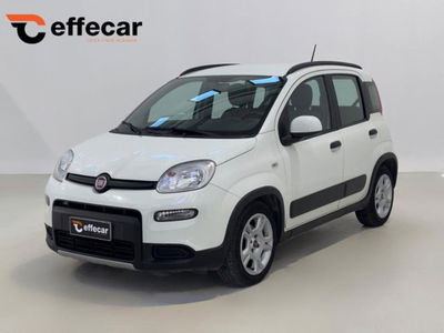 Fiat Panda 1.0 firefly hybrid s&s 70cv 5p.ti usata