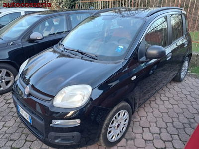 Fiat Panda 1.2 usata