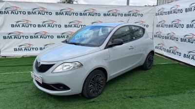 Lancia Ypsilon 1.2 69 CV 5 porte GPL Ecochic Alberta Ferretti usata