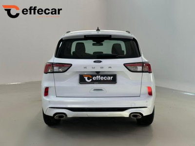 Ford Kuga 1.5 EcoBlue 120 CV 2WD ST-Line (5)