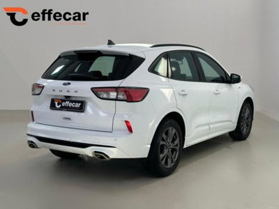 Ford Kuga 1.5 EcoBlue 120 CV 2WD ST-Line (6)
