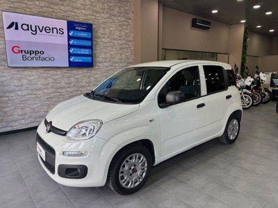 Fiat Panda 1.2 EasyPower Easy usata