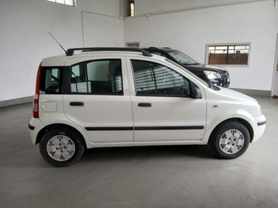 Fiat Panda 1.2 Dynamic GPL usata