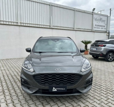 Ford Kuga 1.5 EcoBlue 120 CV 2WD ST-Line (2)