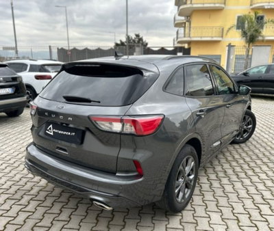 Ford Kuga 1.5 EcoBlue 120 CV 2WD ST-Line (6)