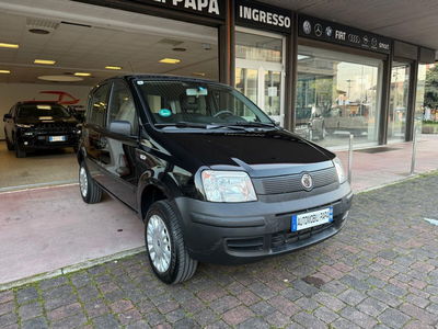 Fiat Panda 1.2 4x4 usata