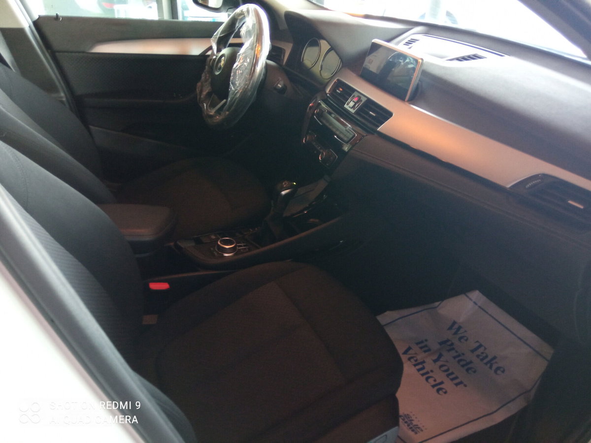 BMW X2 xDrive25e Business-X (15)