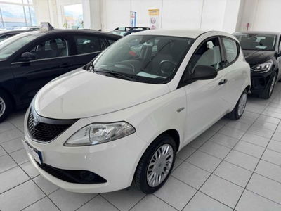 lancia ypsilon 1.2 69 cv 5 porte elefantino blu
