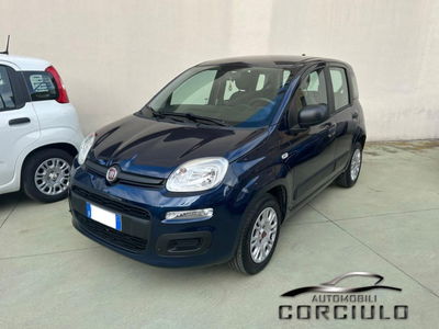Fiat Panda 1.2 Easy usata