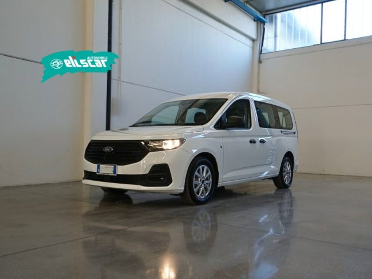 Ford Tourneo Connect 2.0 EcoBlue 102 CV Plus (2)