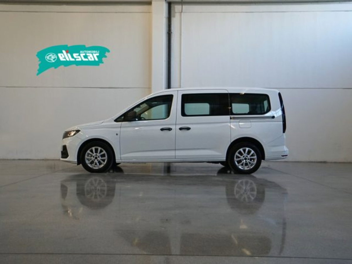 Ford Tourneo Connect 2.0 EcoBlue 102 CV Plus (3)