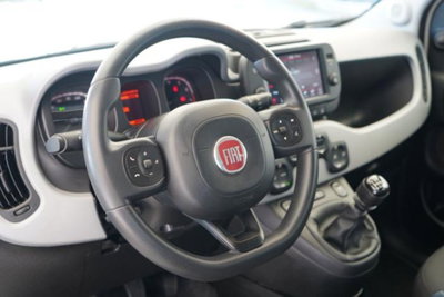 Fiat Panda Cross 1.0 firefly hybrid Cross s&s 70cv 5p.ti (14)