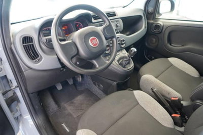 Fiat Panda 1.0 firefly hybrid s&s 70cv 5p.ti (12)