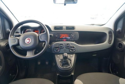 Fiat Panda 1.0 firefly hybrid s&s 70cv 5p.ti (18)
