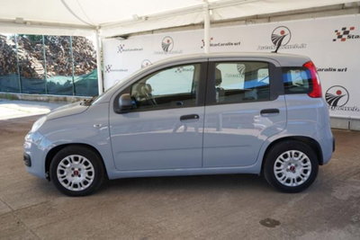 Fiat Panda 1.0 firefly hybrid s&s 70cv 5p.ti (3)