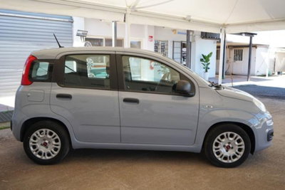 Fiat Panda 1.0 firefly hybrid s&s 70cv 5p.ti (6)
