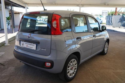 Fiat Panda 1.0 firefly hybrid s&s 70cv 5p.ti (7)