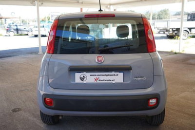 Fiat Panda 1.0 firefly hybrid s&s 70cv 5p.ti (8)