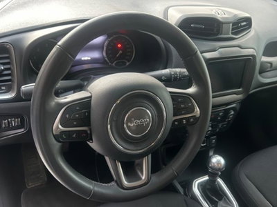 Jeep Renegade 1.6 Mjt 130 CV Limited (10)