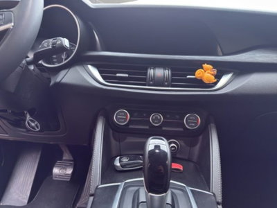 Alfa Romeo Stelvio Stelvio 2.2 Turbodiesel 180 CV AT8 RWD Business (13)