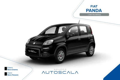 Fiat Panda 1.3 MJT S&S Easy usata