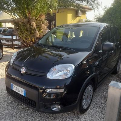 Fiat Panda 1.0 FireFly S&S Hybrid nuova