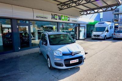 Fiat Panda 1.2 Easy usata