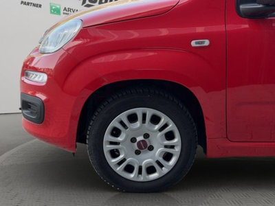 Fiat Panda van 1.0 hybrid Street 70cv 4p.ti serie 4 E6d (19)