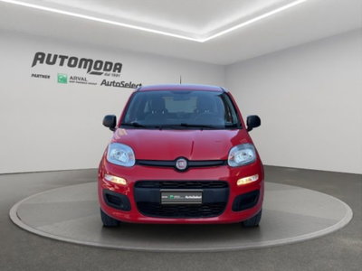 Fiat Panda van 1.0 hybrid Street 70cv 4p.ti serie 4 E6d (2)
