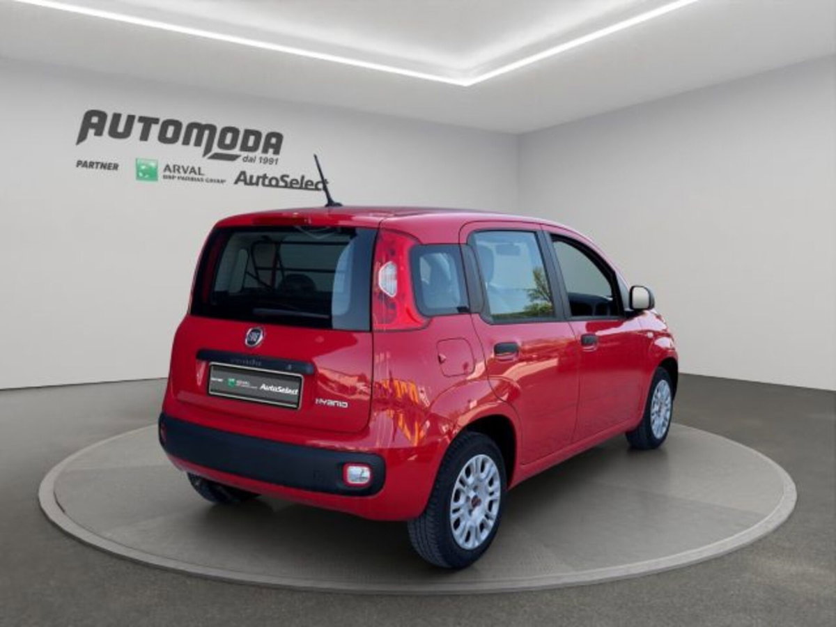 Fiat Panda van 1.0 hybrid Street 70cv 4p.ti serie 4 E6d (4)