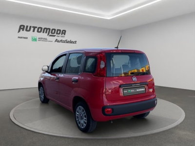 Fiat Panda van 1.0 hybrid Street 70cv 4p.ti serie 4 E6d (6)