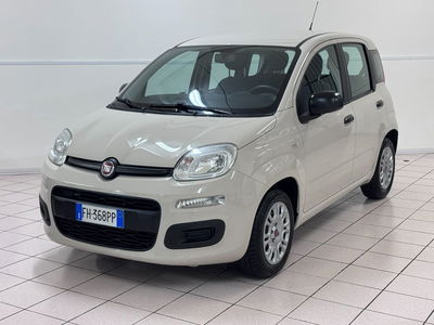 Fiat Panda 1.2 EasyPower Easy usata