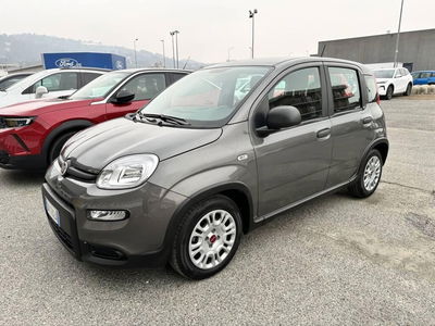 Fiat Panda Cross Cross 1.0 FireFly S&S Hybrid usata