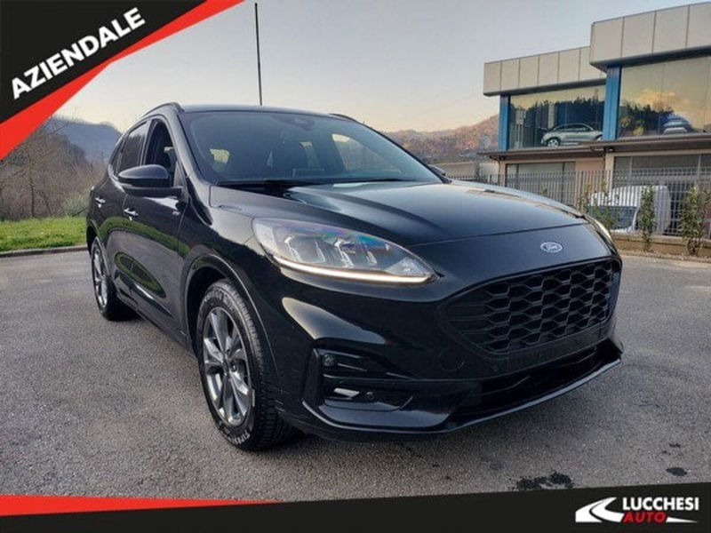 Ford Kuga 2.0 EcoBlue 120 CV aut. 2WD ST-Line X