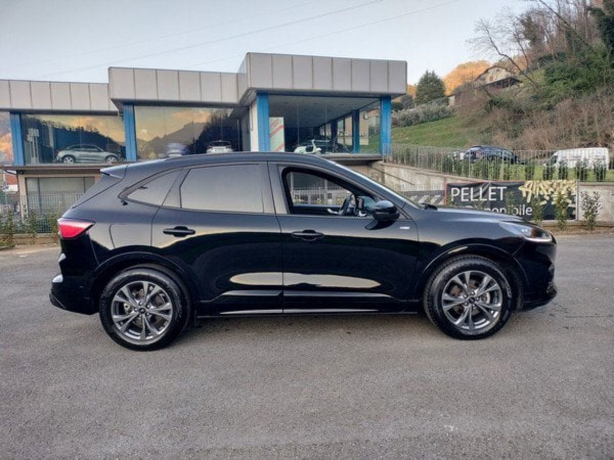 Ford Kuga 2.0 EcoBlue 120 CV aut. 2WD ST-Line X (4)