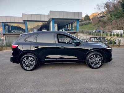 Ford Kuga 2.0 EcoBlue 120 CV aut. 2WD ST-Line X (4)