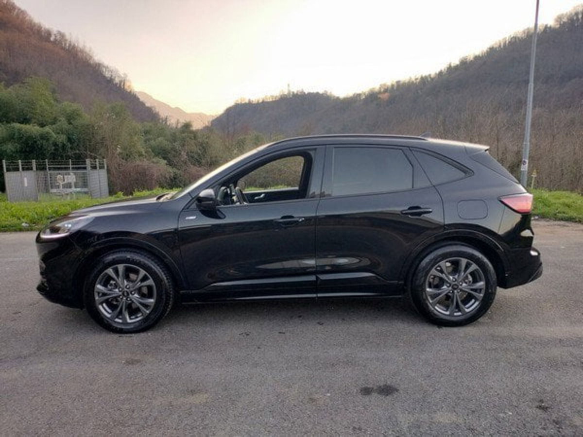 Ford Kuga 2.0 EcoBlue 120 CV aut. 2WD ST-Line X (5)