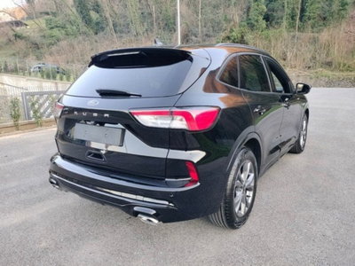 Ford Kuga 2.0 EcoBlue 120 CV aut. 2WD ST-Line X (6)