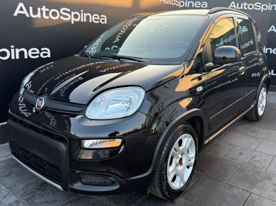 Fiat Panda Cross Cross 1.0 FireFly S&S Hybrid usata