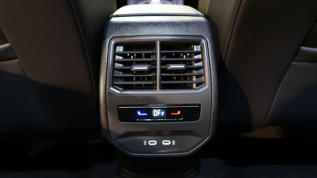 Cupra Formentor Formentor 1.5 TSI (16)